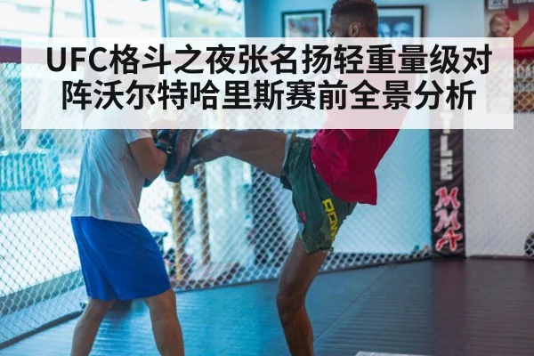 UFC格斗之夜张名扬轻重量级对阵沃尔特哈里斯赛前全景分析