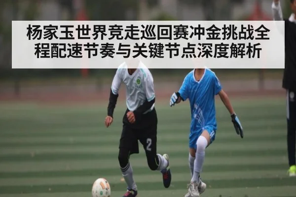 杨家玉世界竞走巡回赛冲金挑战全程配速节奏与关键节点深度解析